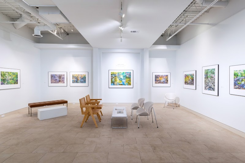 Shane Campbell Gallery gallery photo 1