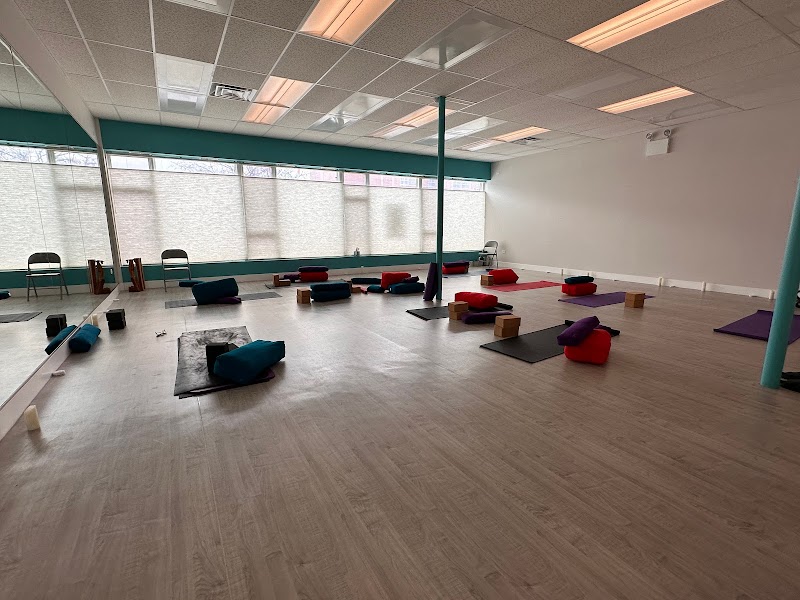 Yogi Video gallery photo 1